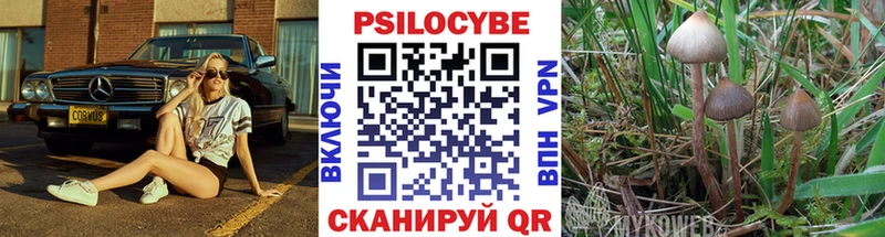 blacksprut ONION  Калуга  Псилоцибиновые грибы ЛСД 